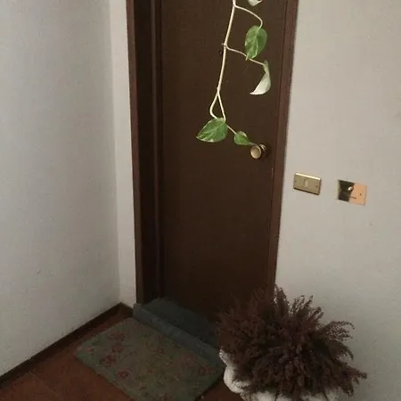 Appartement Louer 2